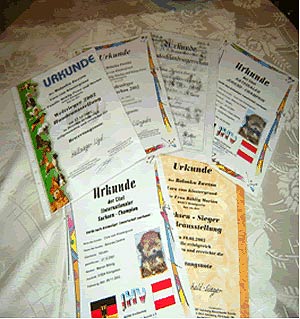 Urkunden
